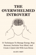 The Overwhelmed Introvert