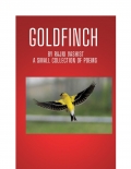 Goldfinch (eBook)