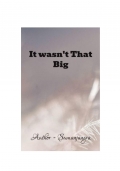 It Wasn't That Big  (eBook)