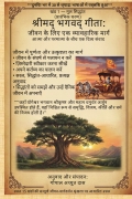 Srimad Bhagavad Gita(Hindi): A Practical Path Volume 1 — Simple Principles (Introductory Stage)