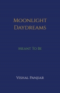 Moonlight Daydreams