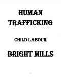 Human Trafficking   (eBook)