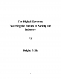 The Digital Economy  (eBook)