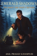 Emerald Shadows: THe Night She Didn't Return
