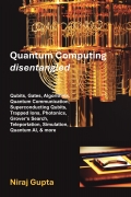Quantum Computing Disentangled