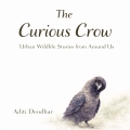 The Curious Crow: Urban Wildlife Stories from Around Us