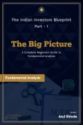 The Big Picture (eBook)
