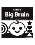 A Little Big Brain
