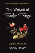 The Weight of Tender Things