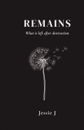 Remains: What left after destruction