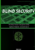 Blind Security 2010