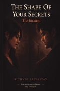 THE SHAPE OF YOUR SECRETS - THE INCIDENT