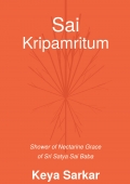 Sai Kripamritum