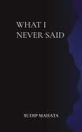 What I Never Said