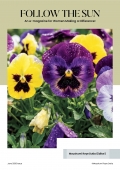 JUNE ISSUE OF FOLLOW THE SUN E-MAGAZINE (eBook)