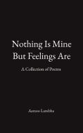 Nothing Is Mine But Feelings Are