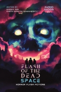 Flash of the Dead: Space (FULL COLOUR EDITION)