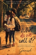 What do we call it