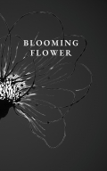 Blooming Flower