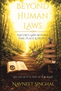 Beyond Human Laws