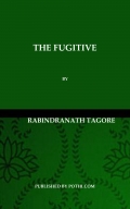 The Fugitive (eBook)