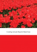 Creating Actuate Reports Made Easy