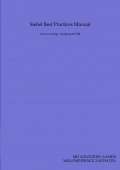 Siebel Best Practices Manual